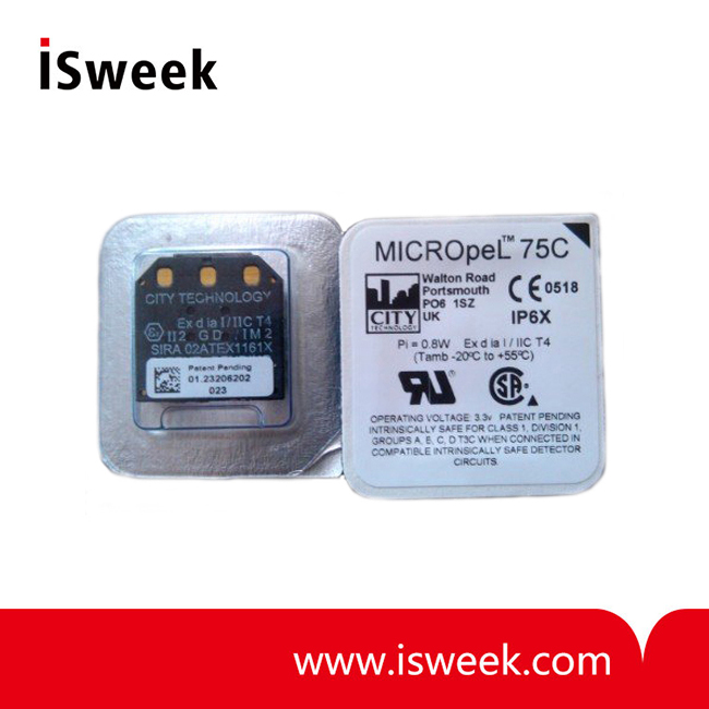 Combustible Gas Sensor