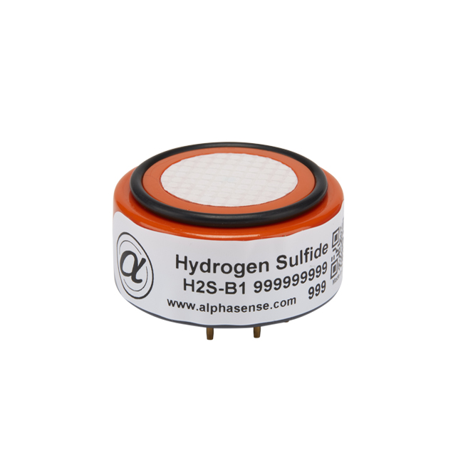 Hydrogen Sulfide Sensor (H2S Sensor)